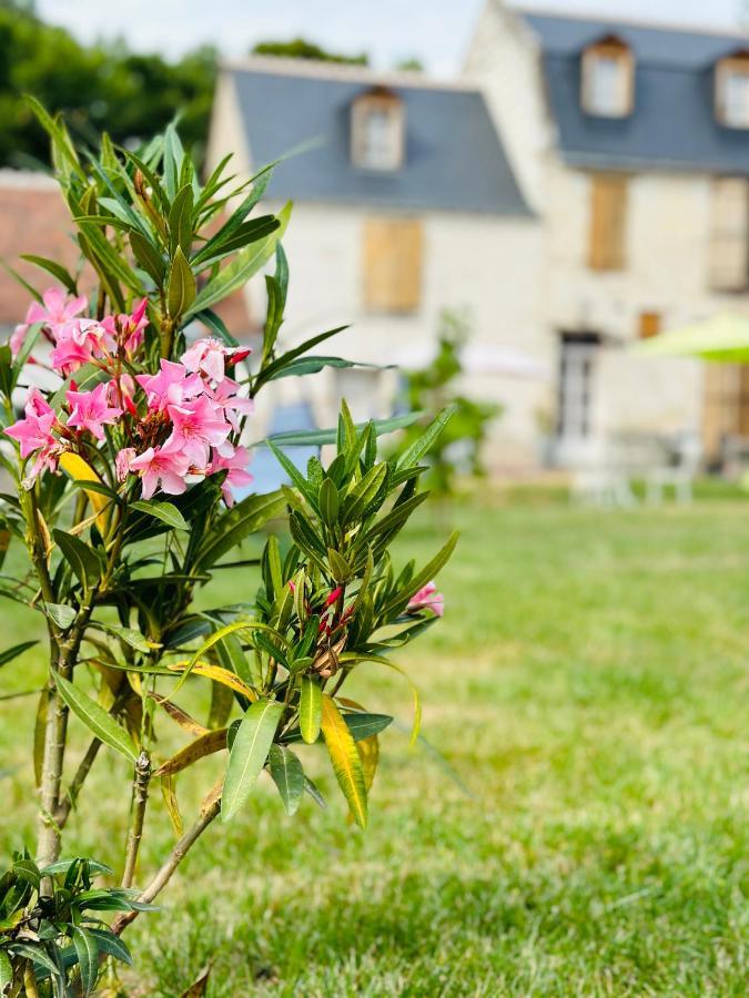 The Ronsardienne Suite In A Charming Mansion At The Gates Of Tours Saint Avertin Bagian luar foto